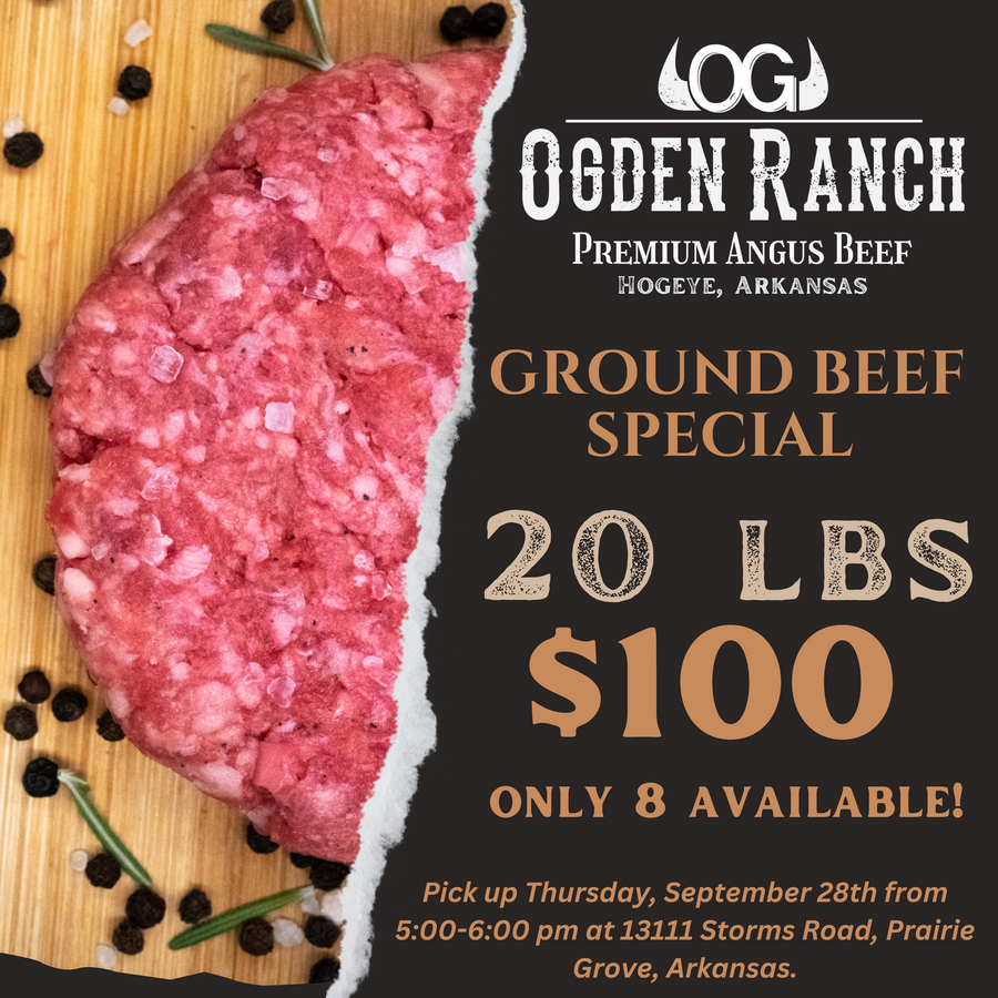 Ground Beef Special!