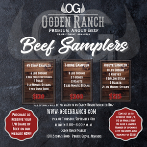 Beef Samplers