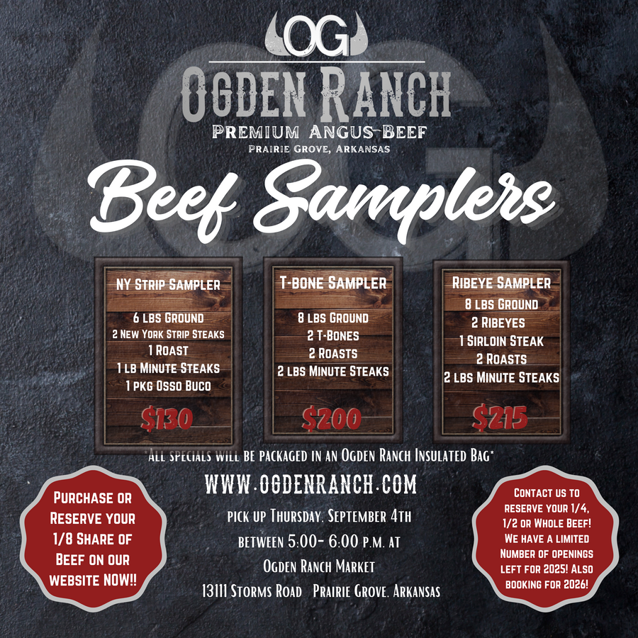 Beef Samplers